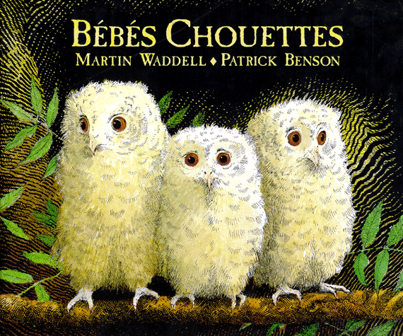 Bébés Chouettes