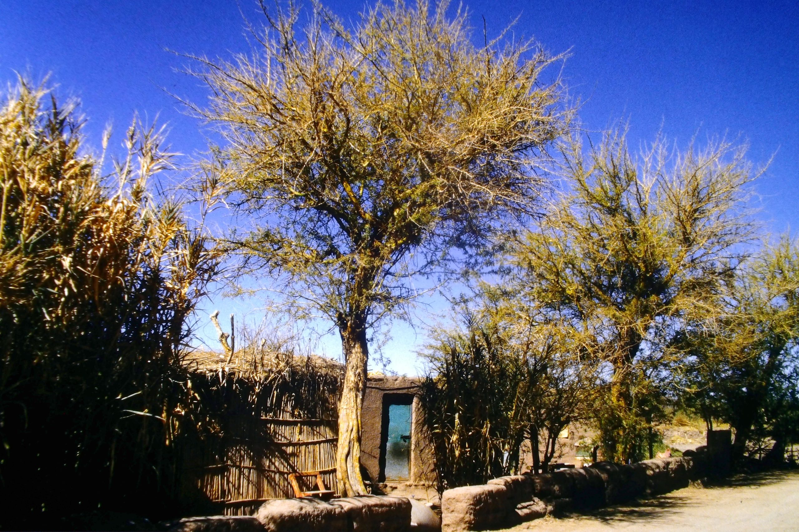 06 juillet 1999 : San Pedro de Atacama