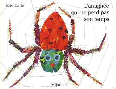 L’araignée qui ne perd pas son temps
